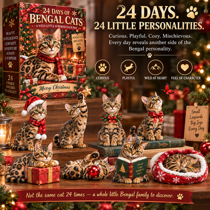 24天孟加拉猫——狂野小猫圣诞系列 🐆🎄