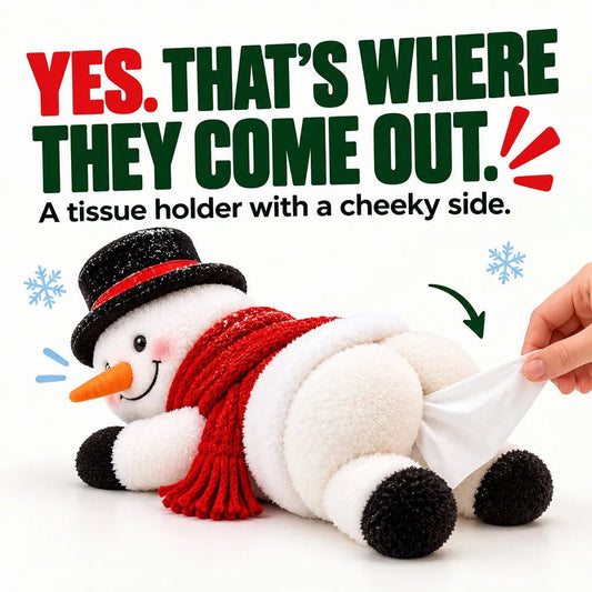 🤣☃️Funny Christmas Snowman Tissue Holder✨