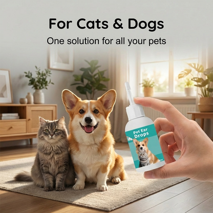 🐱🐶 温和宠物耳道清洁液——告别外耳道疾病