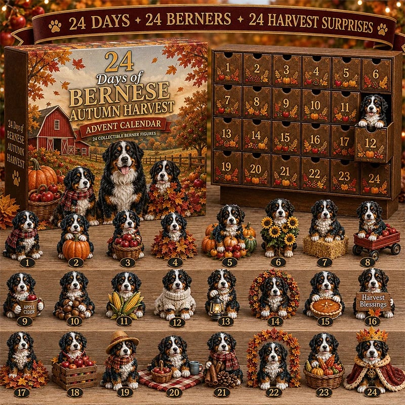 🐶🏔️ Bernese Mountain Dog Advent Calendar 2026