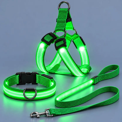 🐶✨ Glow & Go | LED Dog Harness & Leash Set