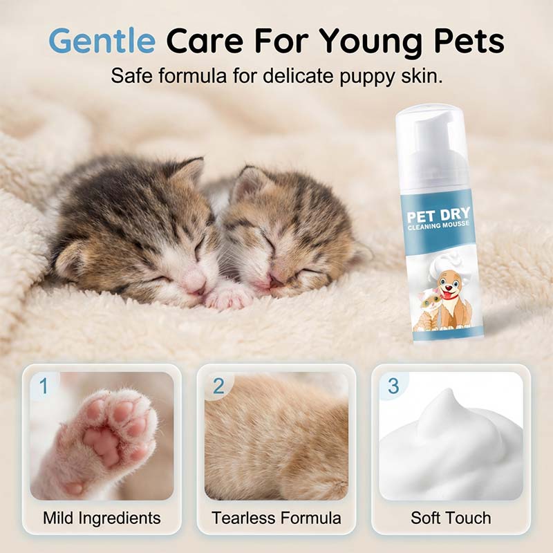 🐶🐱犬猫免水宠物清洁慕斯
