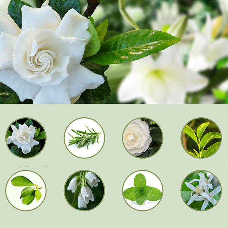 🌿 自动香薰机 – 4档定时USB扩香喷雾器