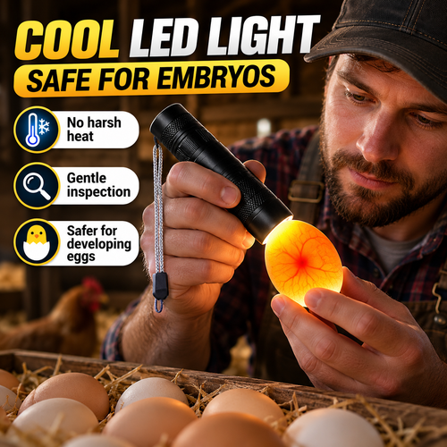 🥚 可充电 LED 照蛋器 - 冷光胚胎检查工具 💡